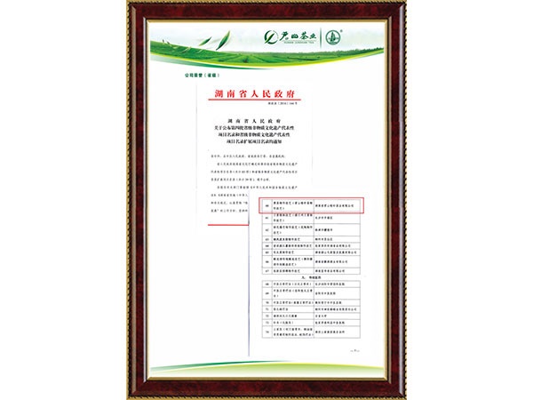 2016年湖南省人民政府公布第四批省級非物質文化遺產(chǎn)代表性項目